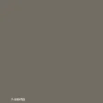 P-1019-T03