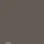 P-1016-T03