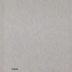 P1010