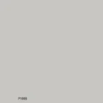 P1005