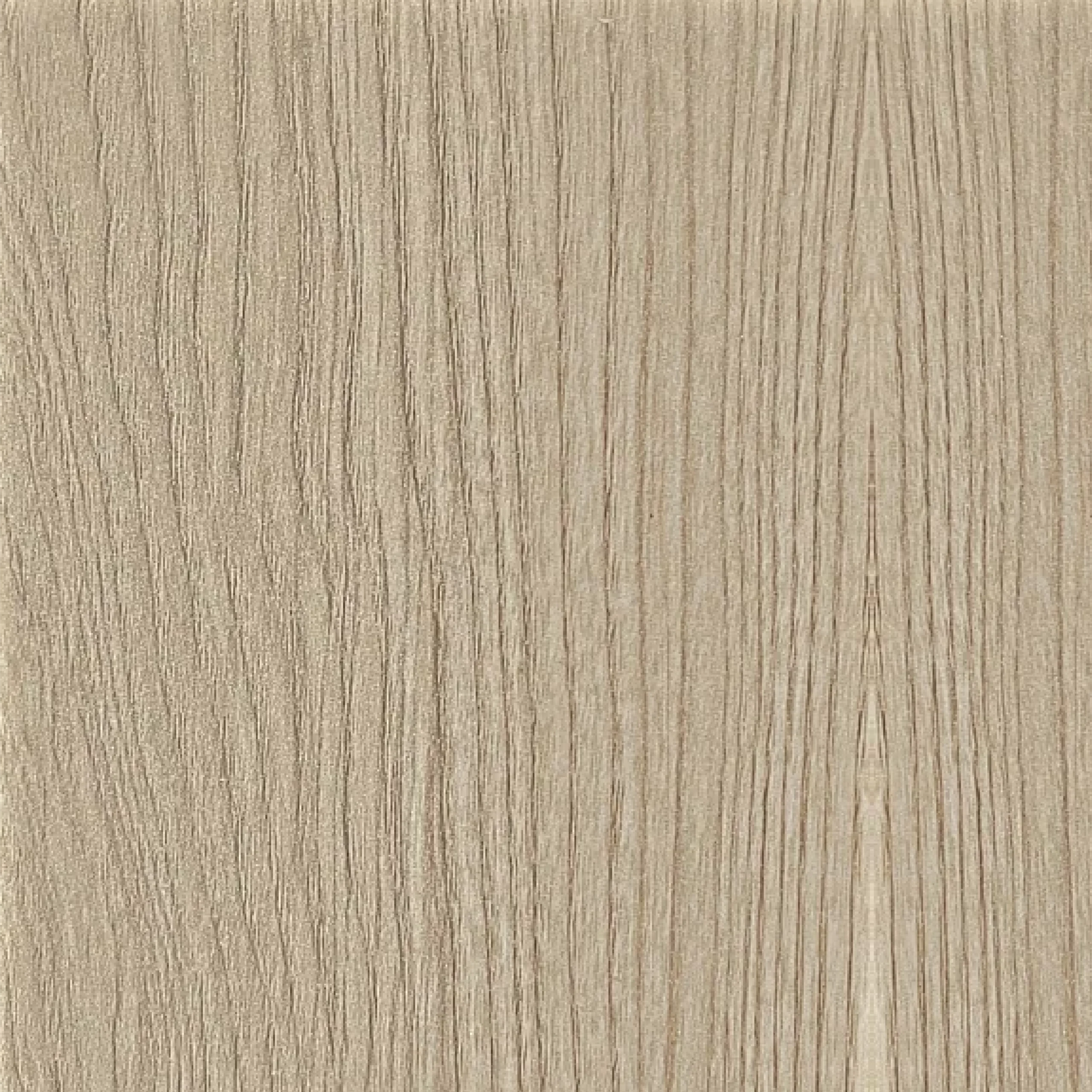 JOR 613-LAM