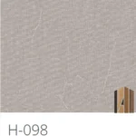 H-098